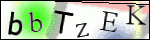 Human Confirmation Code (Captcha)