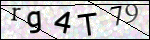 Human Confirmation Code (Captcha)