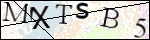 Human Confirmation Code (Captcha)