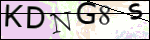 Human Confirmation Code (Captcha)