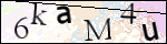 Human Confirmation Code (Captcha)
