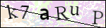 Human Confirmation Code (Captcha)