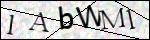 Human Confirmation Code (Captcha)