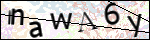 Human Confirmation Code (Captcha)