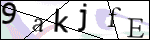 Human Confirmation Code (Captcha)