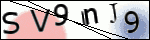Human Confirmation Code (Captcha)