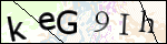 Human Confirmation Code (Captcha)