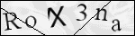 Human Confirmation Code (Captcha)
