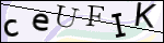 Human Confirmation Code (Captcha)