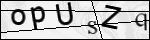 Human Confirmation Code (Captcha)
