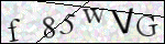 Human Confirmation Code (Captcha)