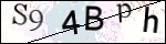 Human Confirmation Code (Captcha)