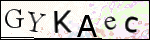 Human Confirmation Code (Captcha)