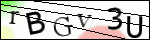 Human Confirmation Code (Captcha)