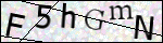 Human Confirmation Code (Captcha)