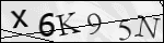 Human Confirmation Code (Captcha)