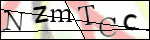 Human Confirmation Code (Captcha)