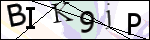 Human Confirmation Code (Captcha)