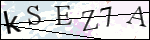 Human Confirmation Code (Captcha)