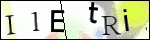 Human Confirmation Code (Captcha)