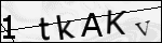 Human Confirmation Code (Captcha)