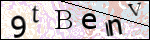 Human Confirmation Code (Captcha)
