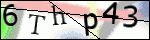 Human Confirmation Code (Captcha)