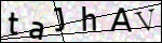 Human Confirmation Code (Captcha)