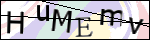 Human Confirmation Code (Captcha)