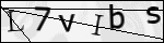 Human Confirmation Code (Captcha)
