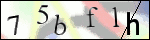 Human Confirmation Code (Captcha)