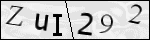 Human Confirmation Code (Captcha)