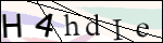 Human Confirmation Code (Captcha)