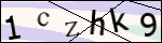 Human Confirmation Code (Captcha)