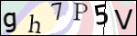 Human Confirmation Code (Captcha)