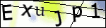 Human Confirmation Code (Captcha)