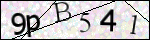 Human Confirmation Code (Captcha)