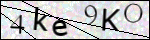 Human Confirmation Code (Captcha)