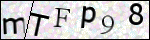 Human Confirmation Code (Captcha)