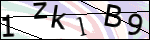 Human Confirmation Code (Captcha)