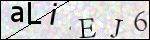 Human Confirmation Code (Captcha)