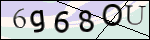 Human Confirmation Code (Captcha)