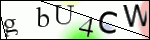 Human Confirmation Code (Captcha)