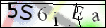 Human Confirmation Code (Captcha)