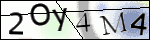 Human Confirmation Code (Captcha)