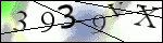 Human Confirmation Code (Captcha)