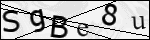 Human Confirmation Code (Captcha)