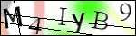 Human Confirmation Code (Captcha)