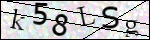 Human Confirmation Code (Captcha)