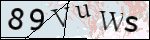 Human Confirmation Code (Captcha)